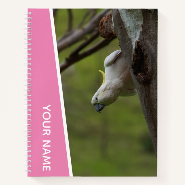 Cockatoo Australia Parrot Upside Down, Funny Pink Notebook (Front)