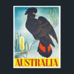 Cockatoo Australia vintage travel Postcard<br><div class="desc">Cockatoo Australia vintage travel Postcard</div>