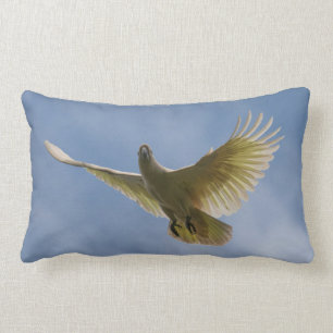 Cockatoo Bird Parrot Animal Fly Sky Australia Lumbar Cushion