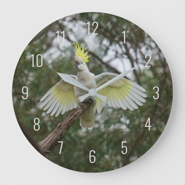 Cockatoo Bird Parrot Fly Wings Avian Australia Large Clock (Front)