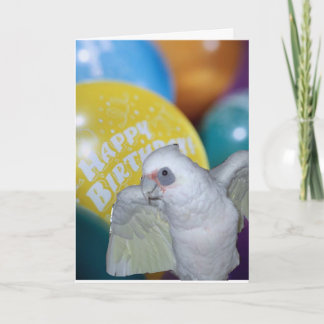 Cockatoo Birthday Card