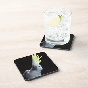 Cockatoo Coaster