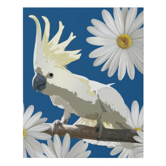 zazzle