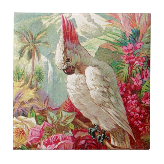 Cockatoo & Roses Vintage Art Tile (Front)