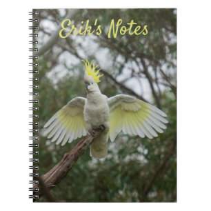 Cockatoo Spreading Wings Bird Australia Notebook
