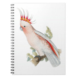 Cockatoo Vintage Art Notebook