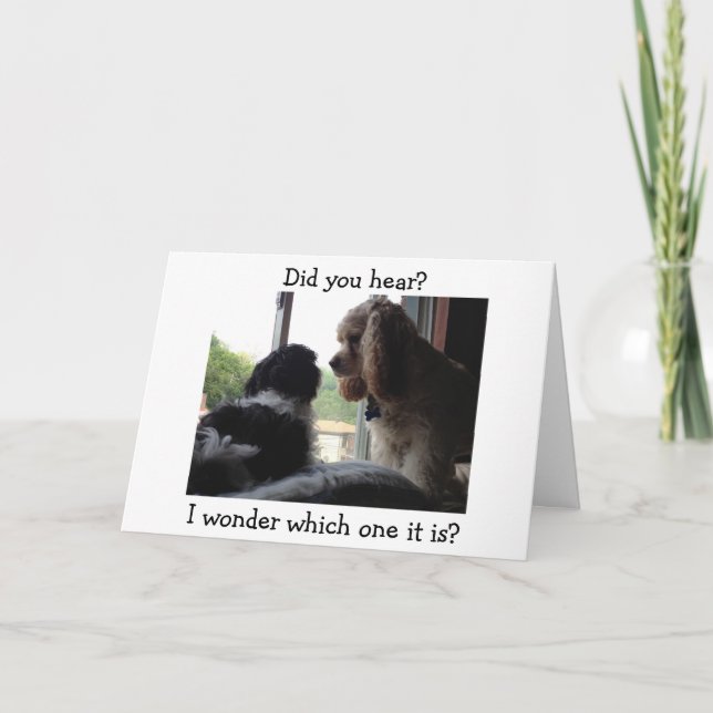 COCKER / HAVANESE SAY WHICH BIRTHDAY IS IT? CARD (Front)