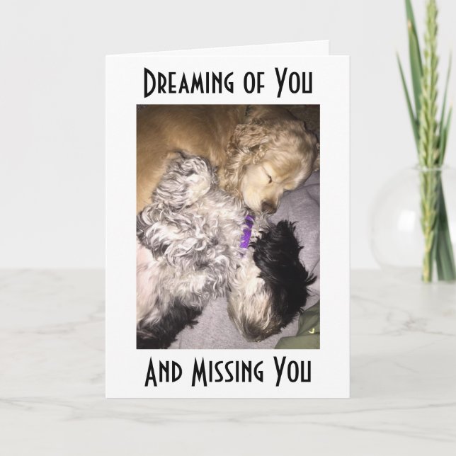 COCKER/HAVENESE CUDDLE-MISS U ON YOUR BIRTHDAY CARD (Front)