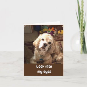 COCKER SAYS *HAPPY BIRTHDAY* CARD