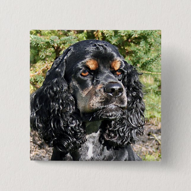 Cocker Spaniel 15 Cm Square Badge (Front)