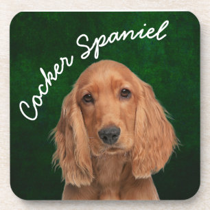 Cocker Spaniel  beverage coaster
