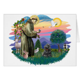 Cocker Spaniel (black)