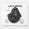 Cocker Spaniel (black) History Design