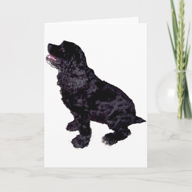 Cocker Spaniel Card (Front)