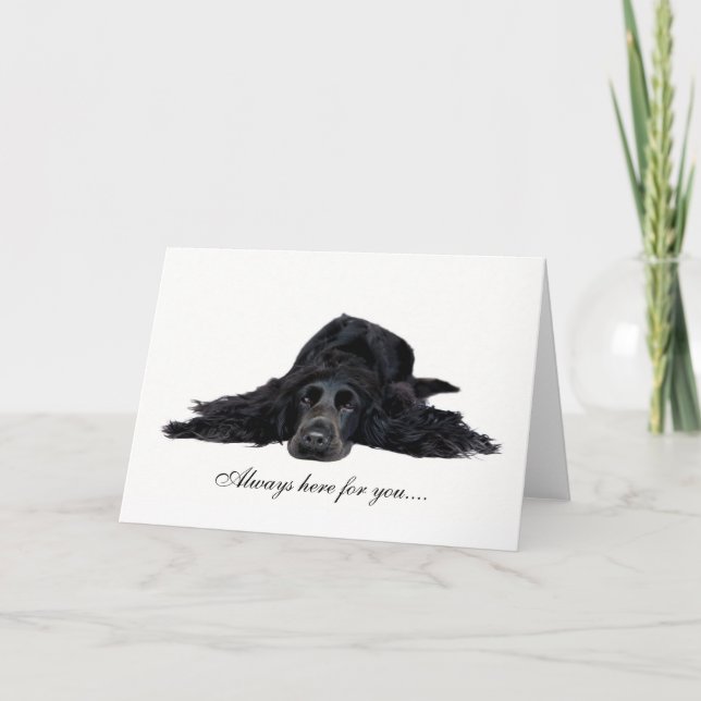 Cocker Spaniel Card (Front)