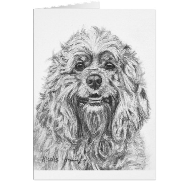 Cocker Spaniel Charcoal Drawing (Front)