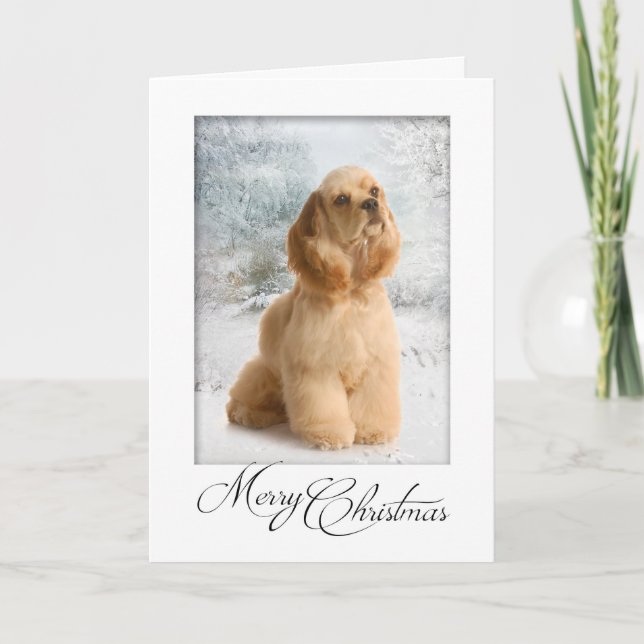 Cocker Spaniel Christmas Card (Front)