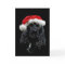 Cocker Spaniel Christmas