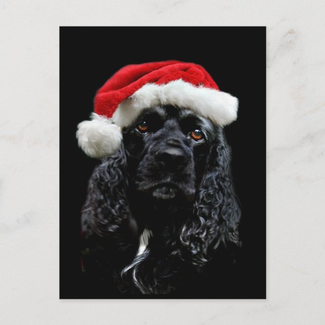 Cocker Spaniel Christmas Holiday Postcard (Front)