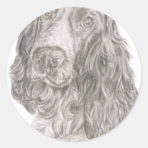 Cocker Spaniel Classic Round Sticker