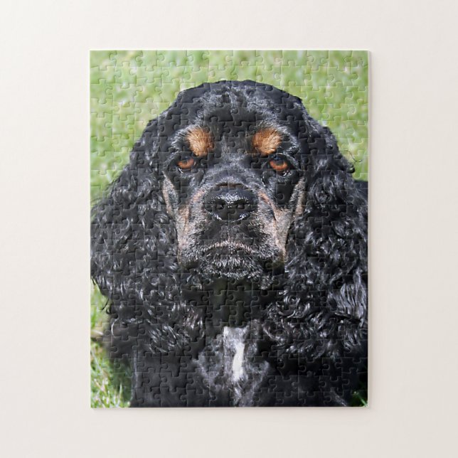 Cocker Spaniel Close-Up Jigsaw Puzzle (Vertical)