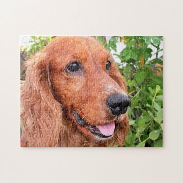 Cocker Spaniel Dog Jigsaw Puzzle (Horizontal)