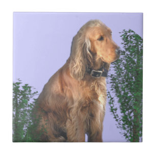 Cocker Spaniel dog lover Ceramic Tile