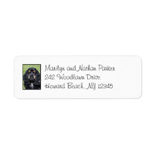 Cocker Spaniel Dog Return Address Label