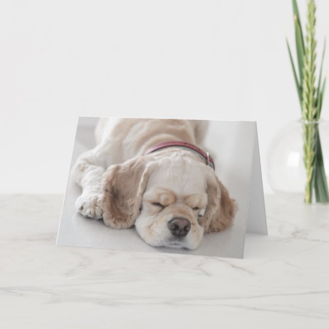 Cocker spaniel dog sleeping card (Front)