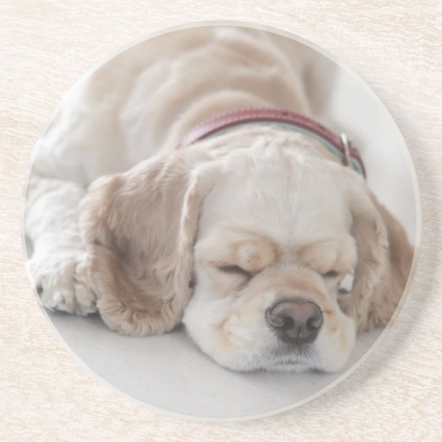 Cocker spaniel dog sleeping coaster (Front)