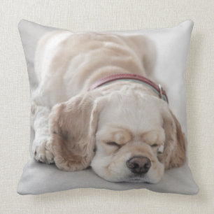 Cocker spaniel dog sleeping cushion