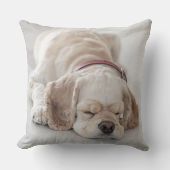 Cocker spaniel dog sleeping cushion (Front)