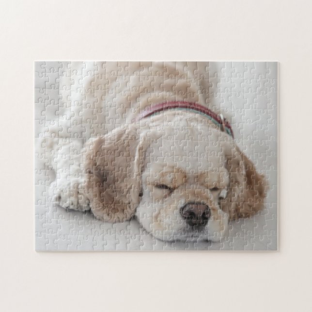 Cocker spaniel dog sleeping jigsaw puzzle (Horizontal)