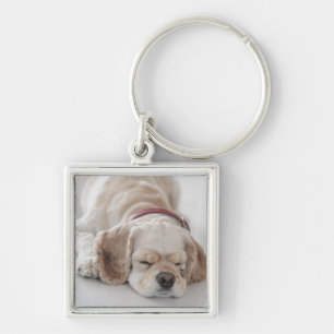 Cocker spaniel dog sleeping key ring