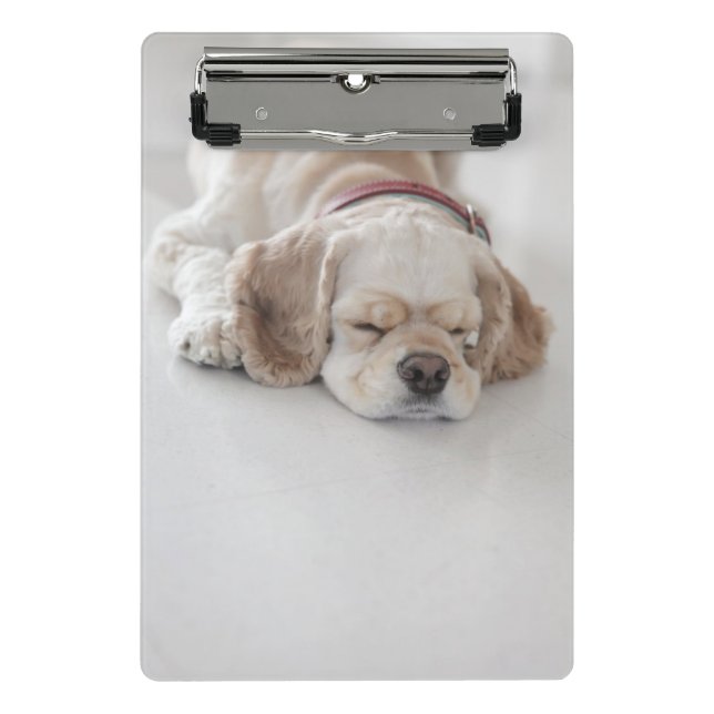 Cocker spaniel dog sleeping mini clipboard (Front)