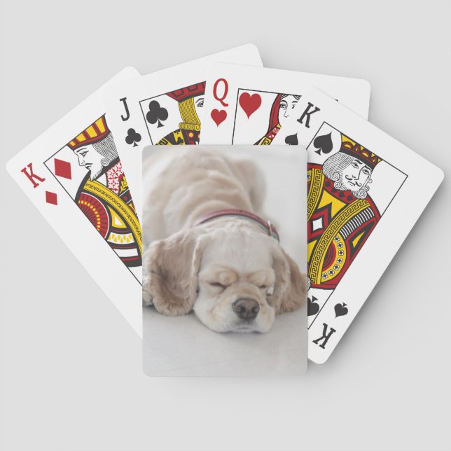 Cocker spaniel dog sleeping playing cards (Back)