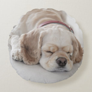 Cocker spaniel dog sleeping round cushion