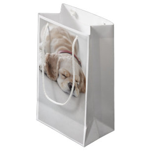 Cocker spaniel dog sleeping small gift bag