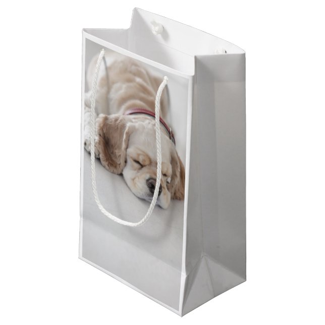 Cocker spaniel dog sleeping small gift bag (Front Angled)