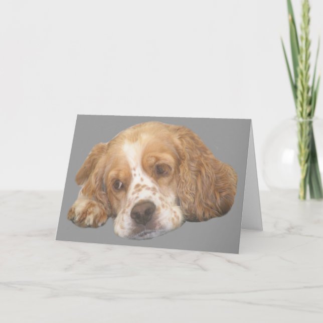 Cocker Spaniel Freckles Greeting Card (Front)