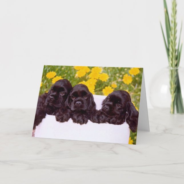 Cocker Spaniel Greeting cards (Front)