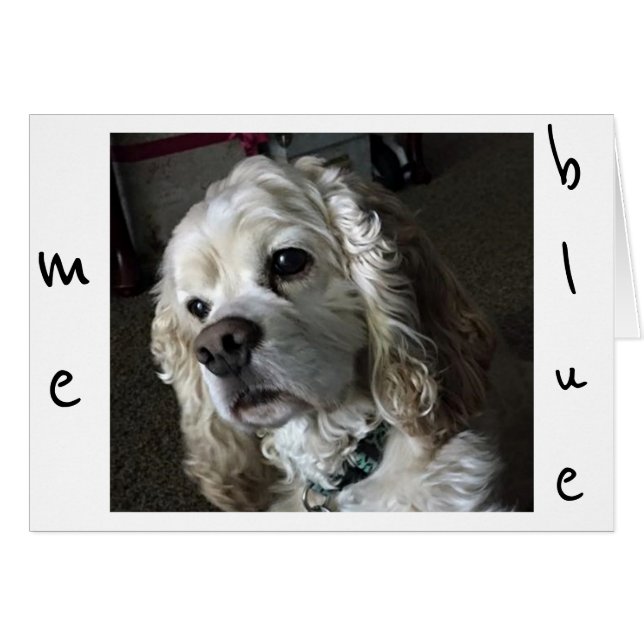 COCKER SPANIEL IS "BLUE" WITHOUT "YOU" (Front Horizontal)