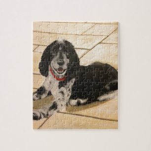 Cocker Spaniel Jigsaw Puzzle