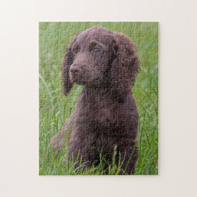 Cocker Spaniel Jigsaw Puzzle (Vertical)