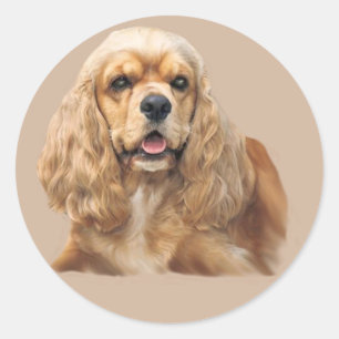 Cocker Spaniel Just Adorable Sticker