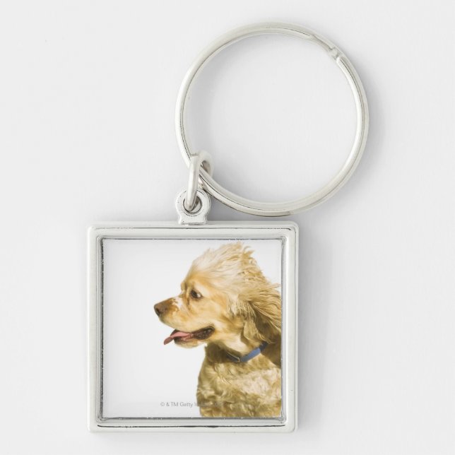 Cocker Spaniel Key Ring (Front)