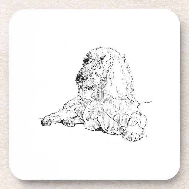 Cocker Spaniel Line Drawing Art Dog  Coaster (Front)