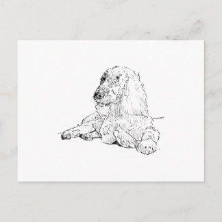Cocker Spaniel Line Drawing Art Dog Postcard