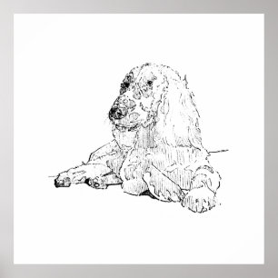 Cocker Spaniel Line Drawing Art Dog  Poster