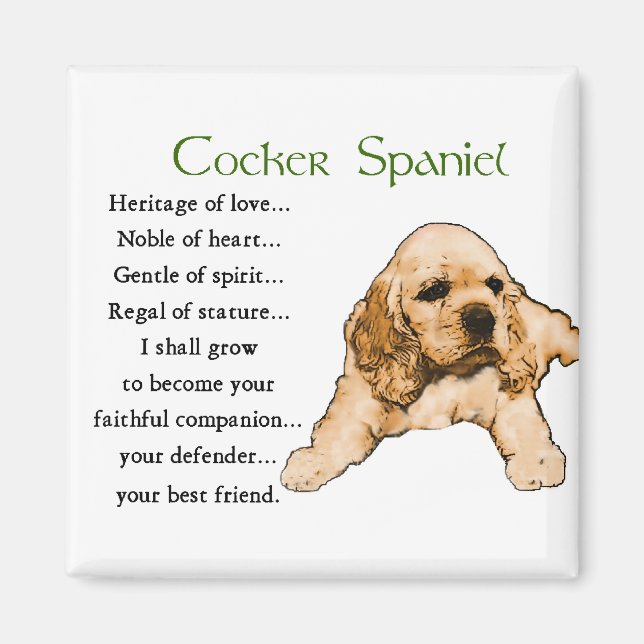 Cocker Spaniel Lovers Gifts Magnet (Front)